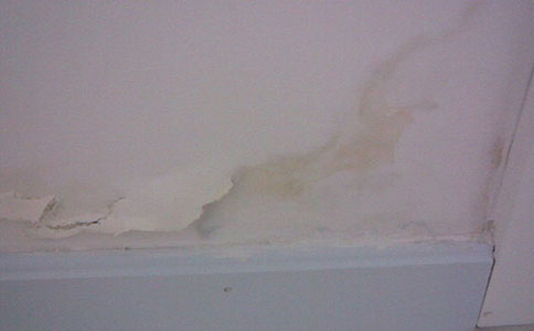 卫生间漏水，有没有不砸砖的解决办法？老师傅来告诉你答案